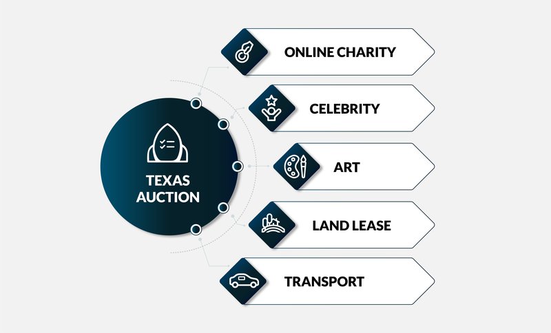 Texas auction spheres of usage