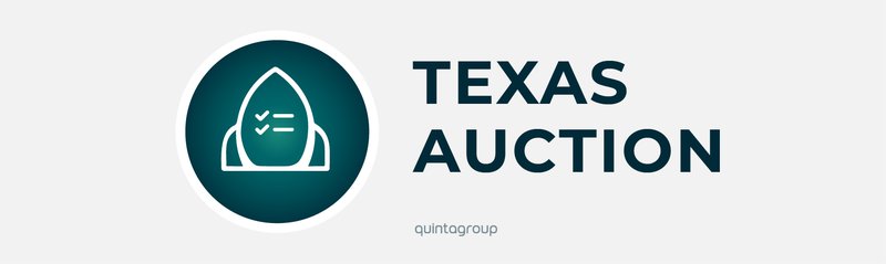 Texas Auction SaaS